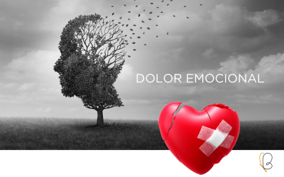 El dolor emocional: reconocerlo, afrontarlo y superarlo