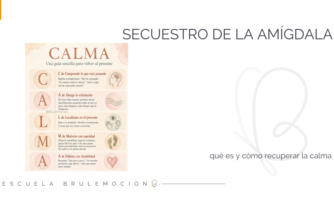 Secuestro de la amígdala: qué es y cómo recuperar la calma