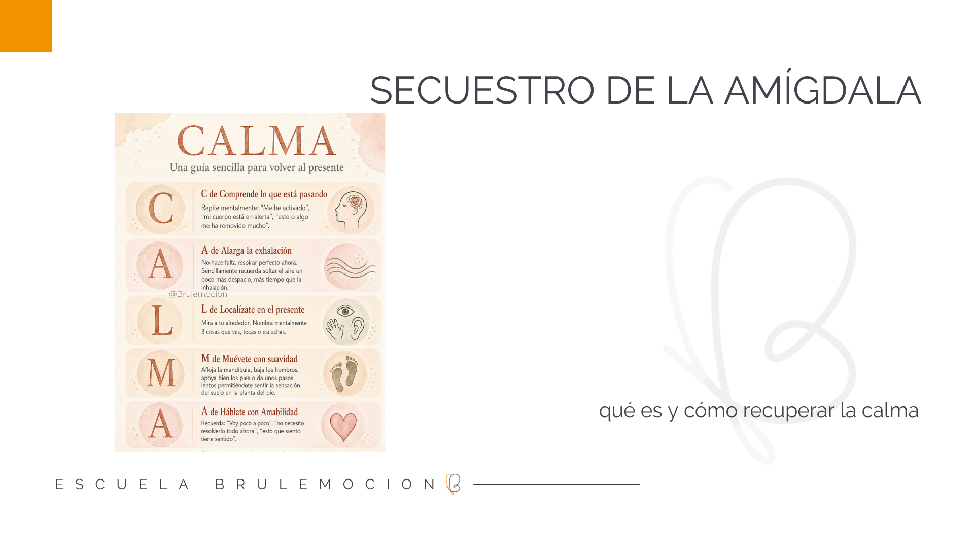 secuestro de la amigdala recuperar la calma en el cáncer